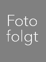 NN Portrait der Lehrgangsleitung: NN